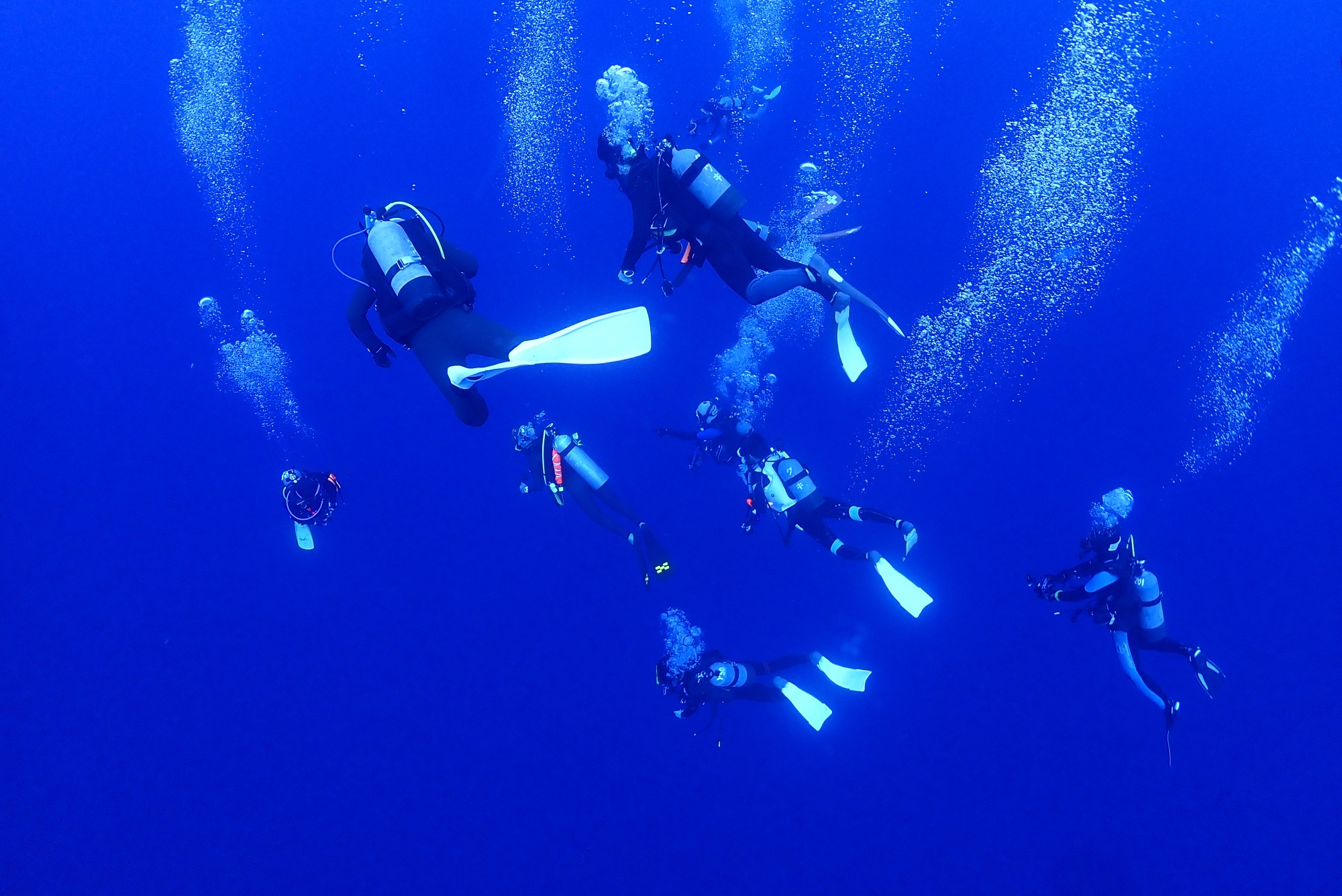 与那国ツアー行ってきました！